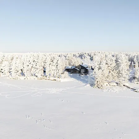 Villa Luxury Wilderness On Private Peninsula Pyhanta