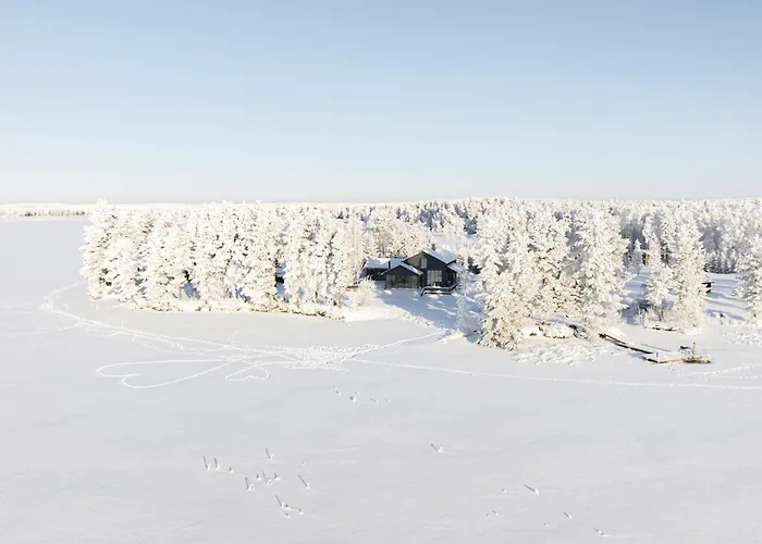 Villa Luxury Wilderness On Private Peninsula Pyhanta